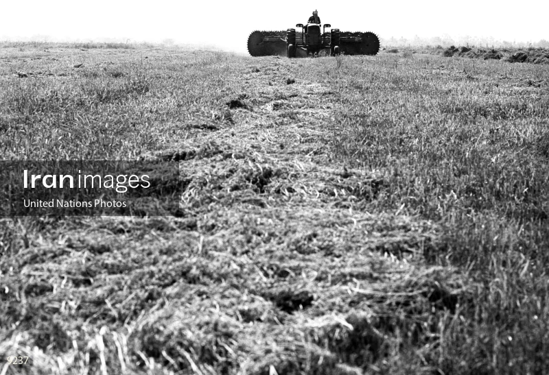 Agricultural Development in Iran