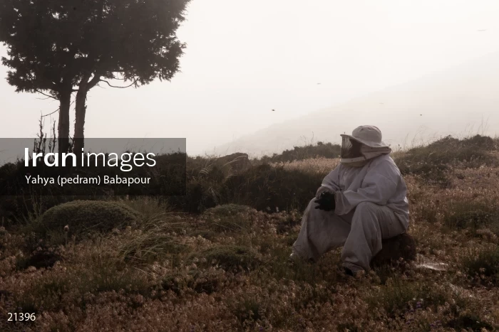 Reza, A Beekeeper