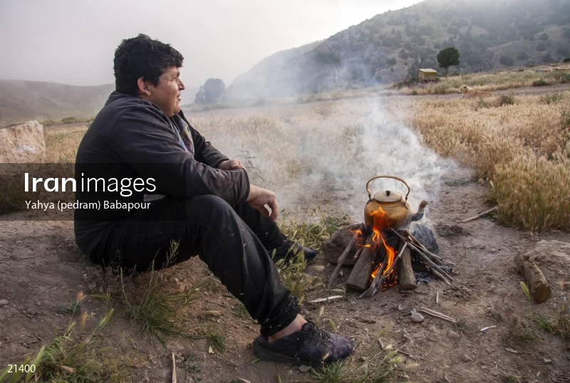 Reza, A Beekeeper
