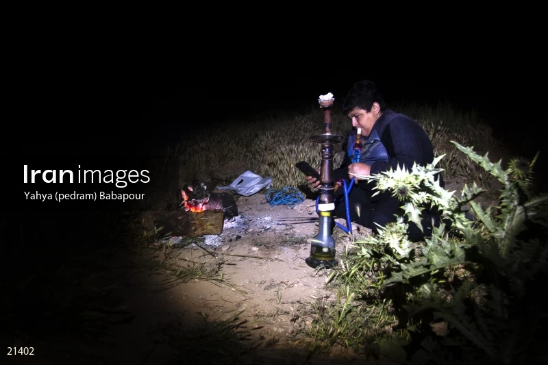 Reza, A Beekeeper