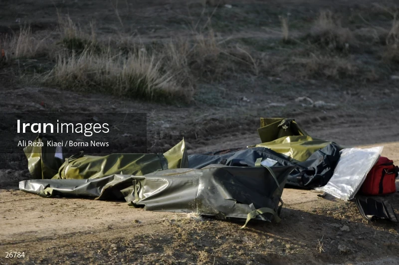 The crash of the Ukrainian passenger plane