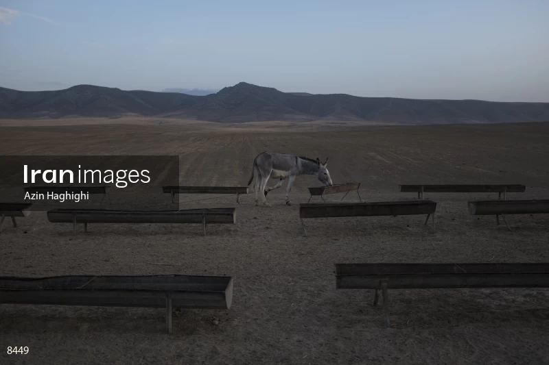 Drought in North Khorasan