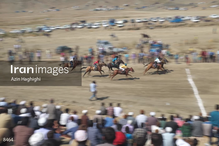 Horses in Turkmens festivities