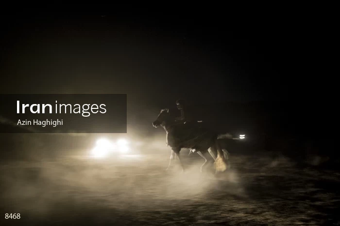 Horses in Turkmens festivities