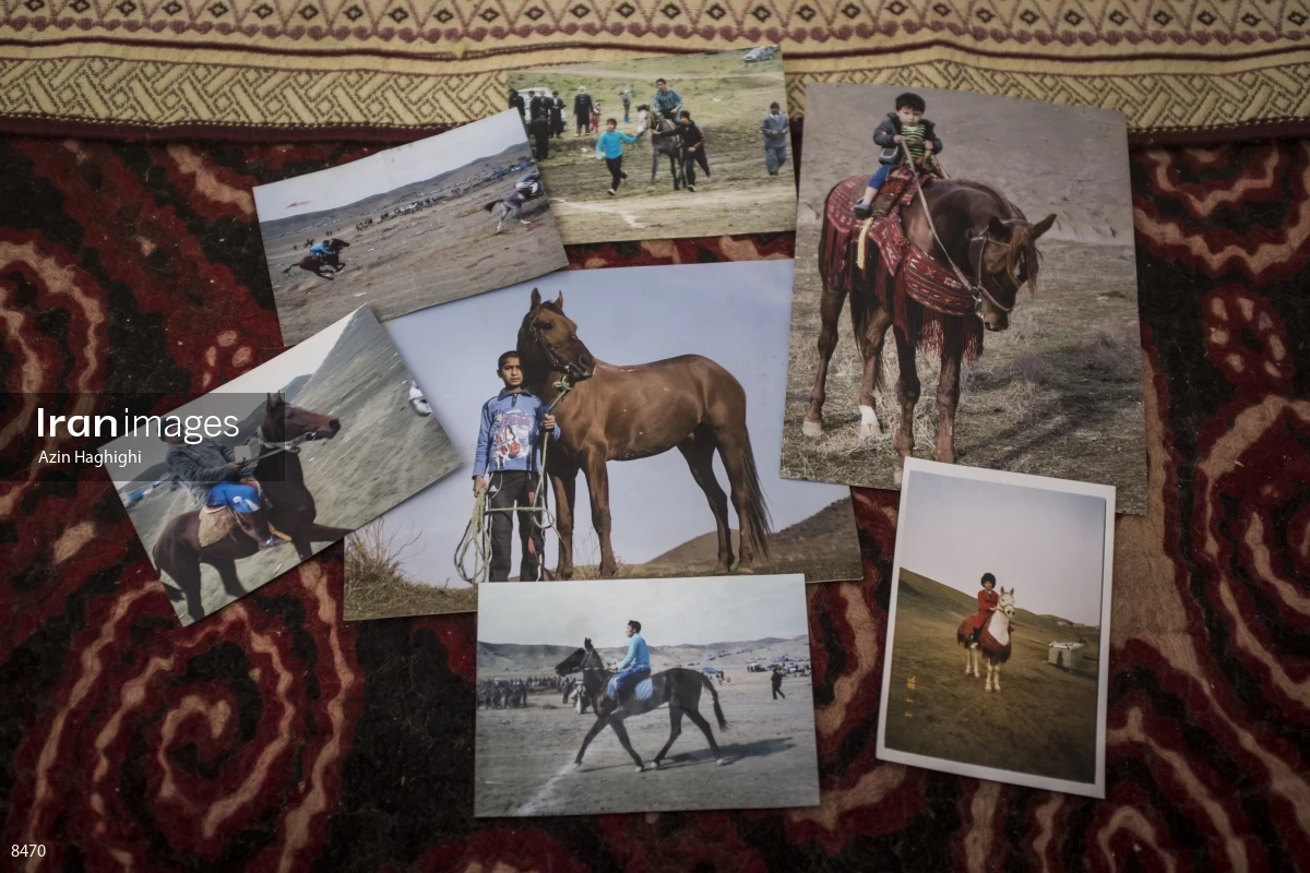 Horses in Turkmens festivities