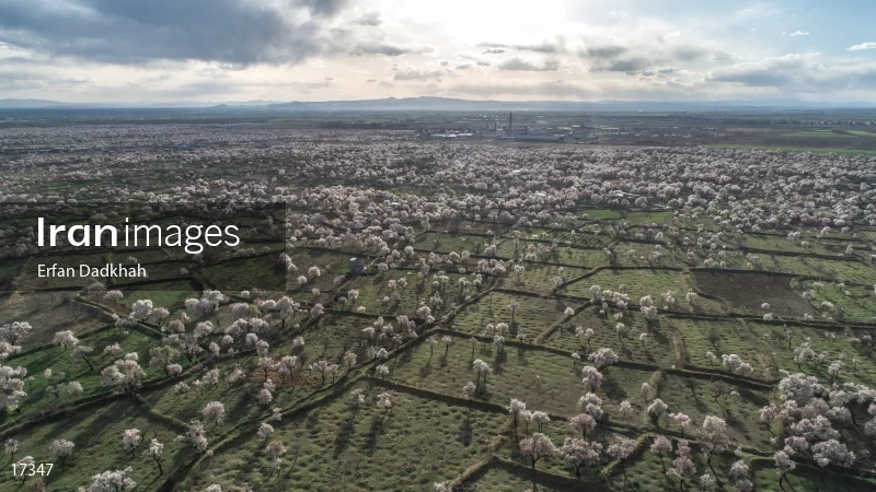 Spring in Qazvin