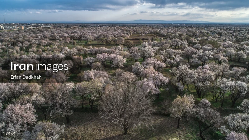 Spring in Qazvin