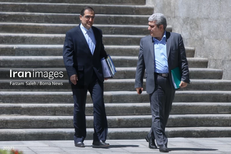 Sorena Sattari and Hassan Ghazizadeh Hashemi