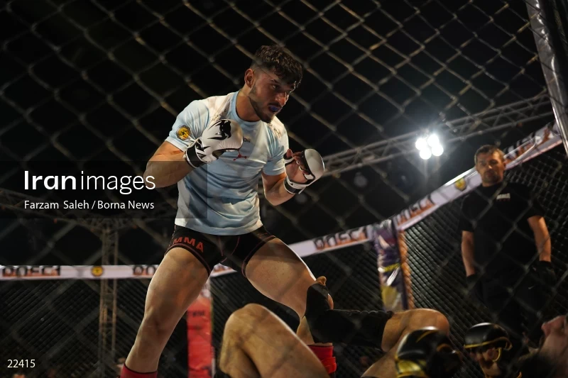 Mixed martial arts (MMA) competitions in Iran