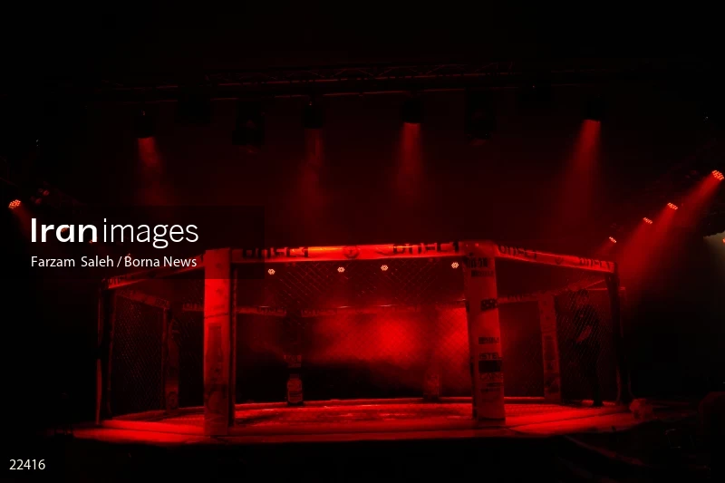 Mixed martial arts (MMA) competitions in Iran