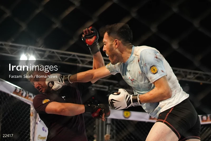 Mixed martial arts (MMA) competitions in Iran