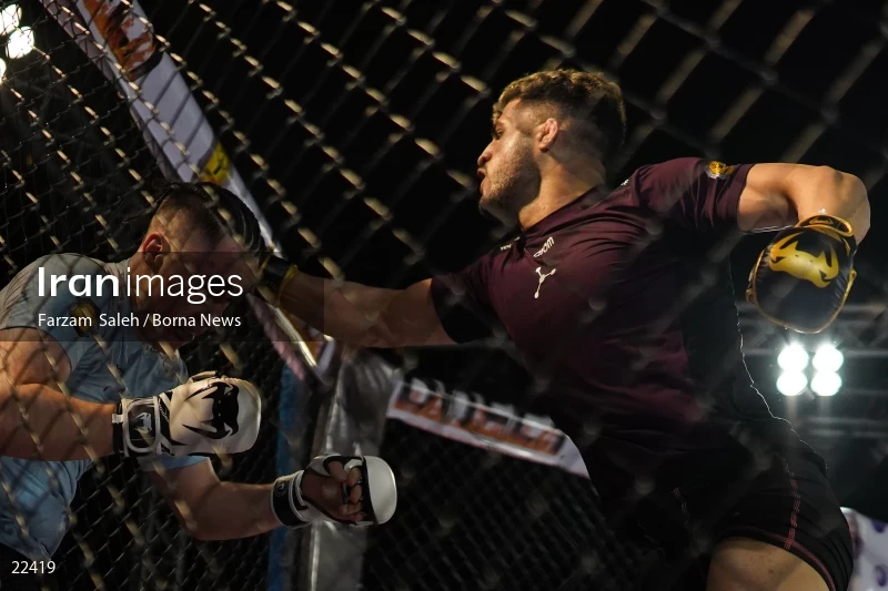 Mixed martial arts (MMA) competitions in Iran