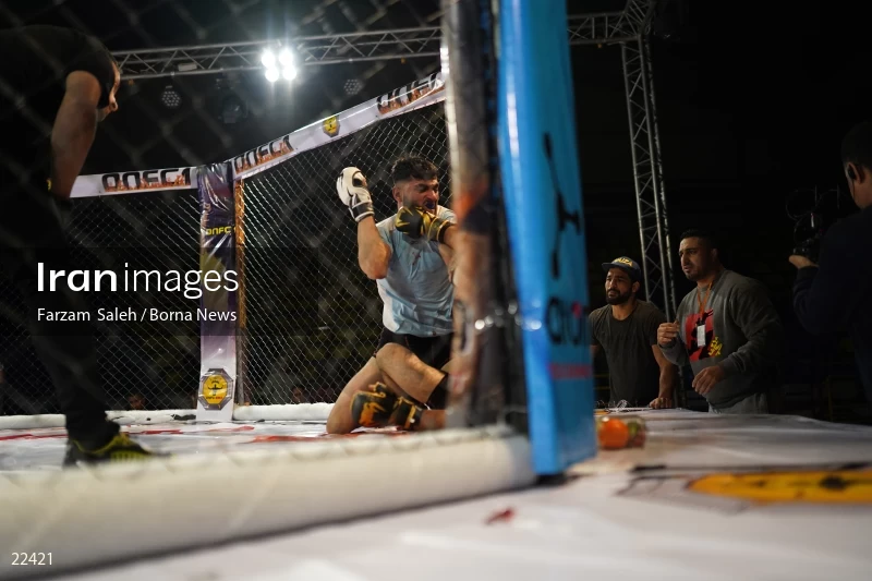 Mixed martial arts (MMA) competitions in Iran
