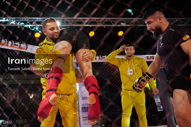 Mixed martial arts (MMA) competitions in Iran