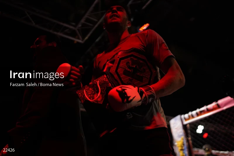 Mixed martial arts (MMA) competitions in Iran