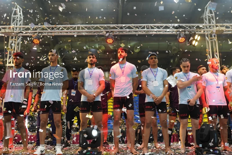 Mixed martial arts (MMA) competitions in Iran