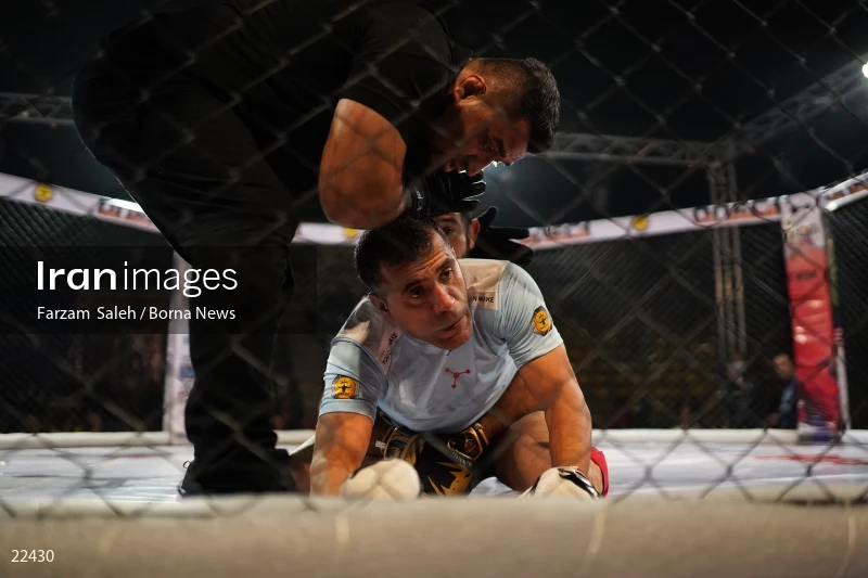 Mixed martial arts (MMA) competitions in Iran
