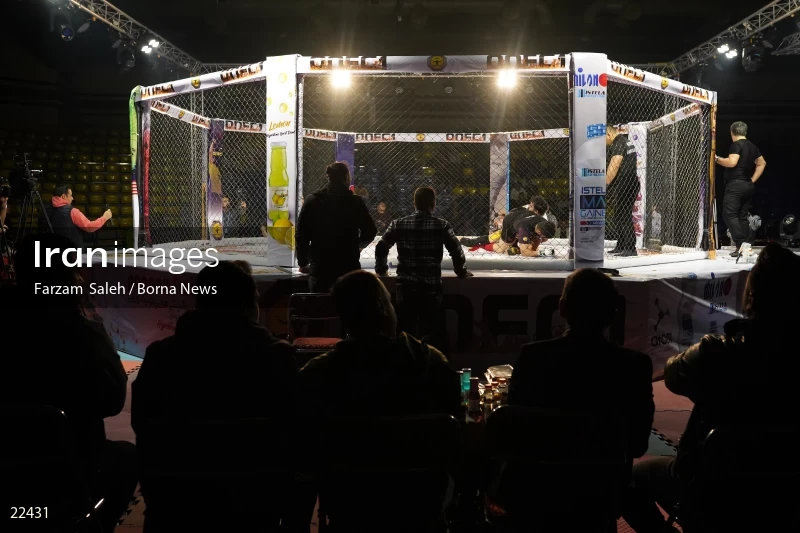 Mixed martial arts (MMA) competitions in Iran