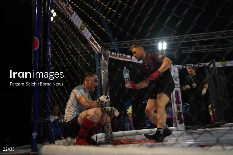 Mixed martial arts (MMA) competitions in Iran