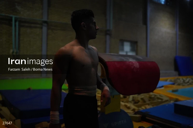 Iranian national gymnastics team camp