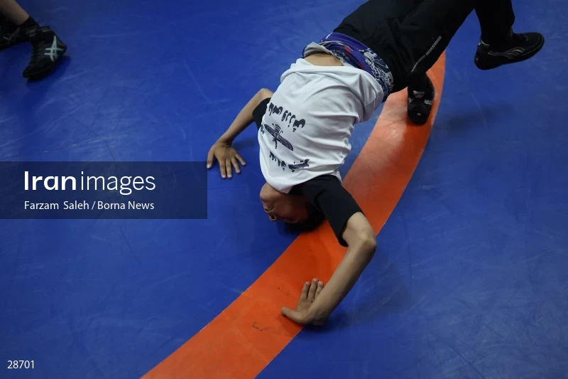 Iran Junior Wrestling Championships