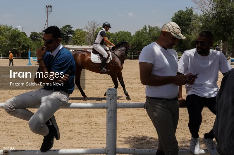 Armos Cup international horse jumping competition
