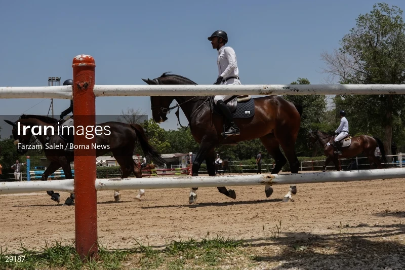Armos Cup international horse jumping competition
