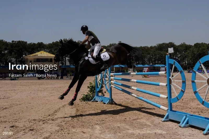 Armos Cup international horse jumping competition