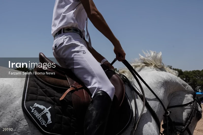 Armos Cup international horse jumping competition