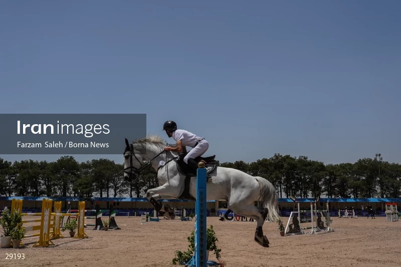 Armos Cup international horse jumping competition