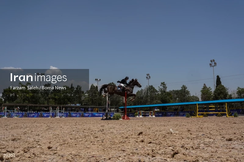 Armos Cup international horse jumping competition