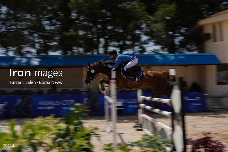 Armos Cup international horse jumping competition