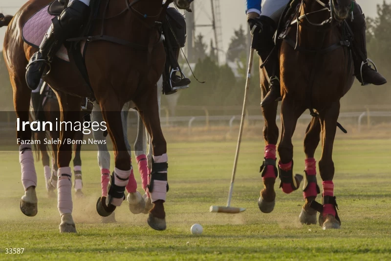 The 7th week of the National Women's Polo League (Laleh Cup)