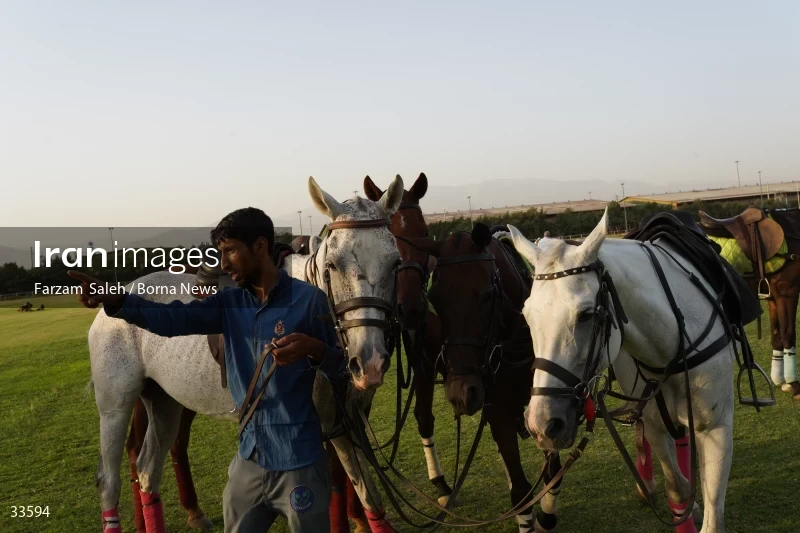 The 7th week of the National Women's Polo League (Laleh Cup)