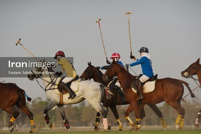 The 7th week of the National Women's Polo League (Laleh Cup)