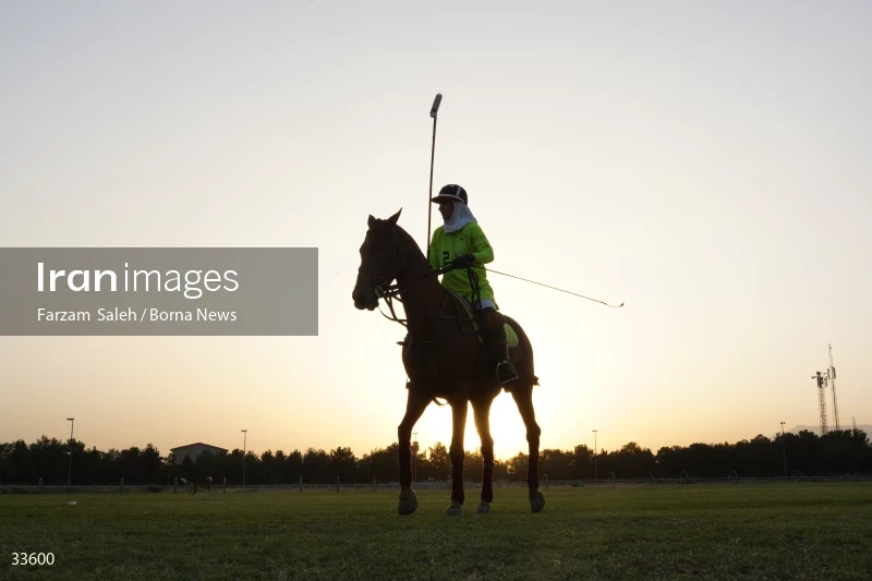 The 7th week of the National Women's Polo League (Laleh Cup)
