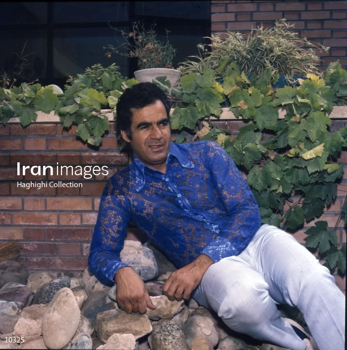 Naser Malek Motiee