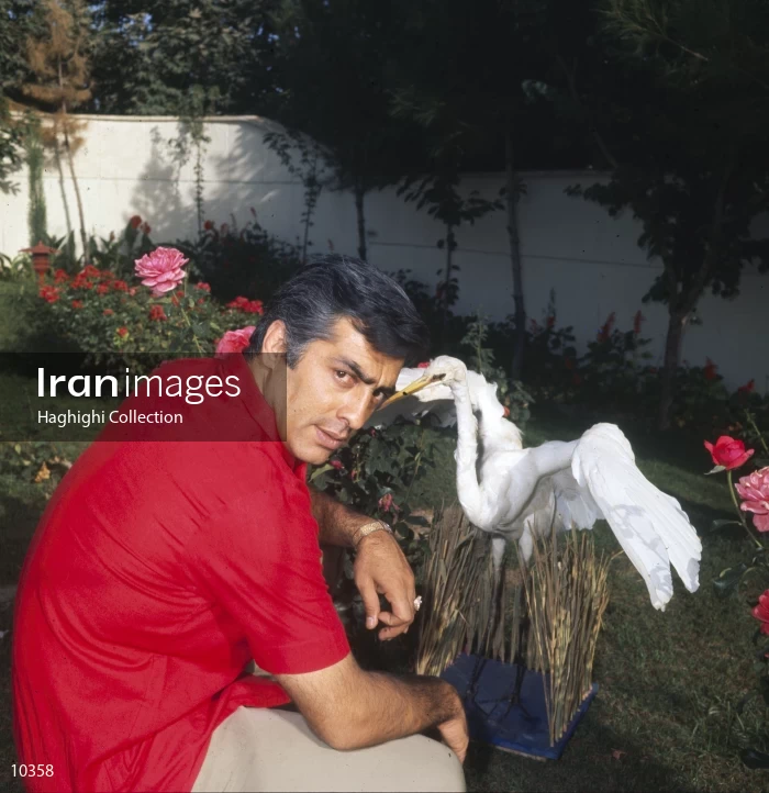 Mohammad Ali Fardin