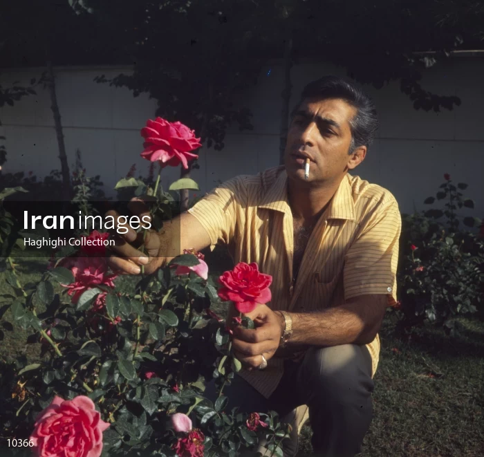 Mohammad Ali Fardin