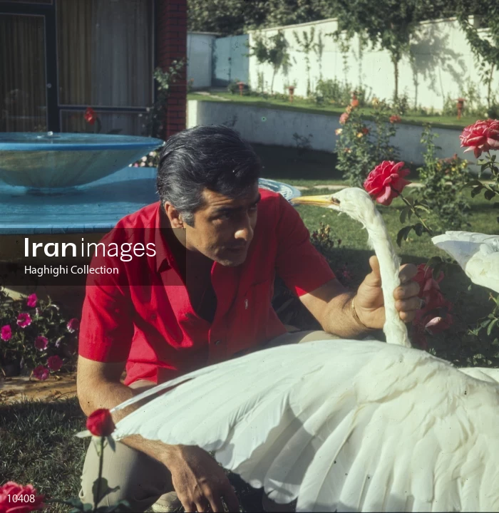 Mohammad Ali Fardin