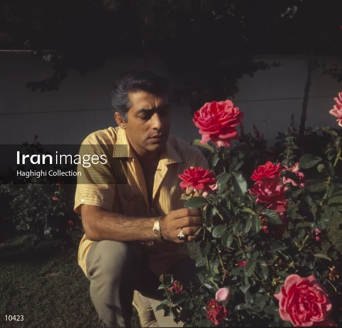Mohammad Ali Fardin