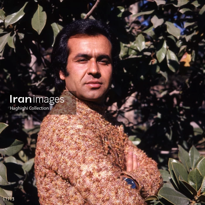 Iraj Mehdian