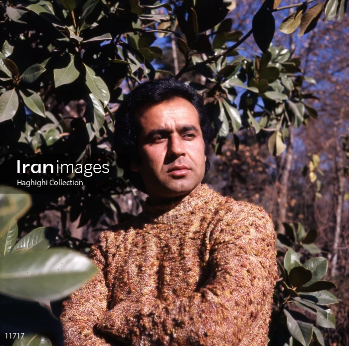 Iraj Mehdian