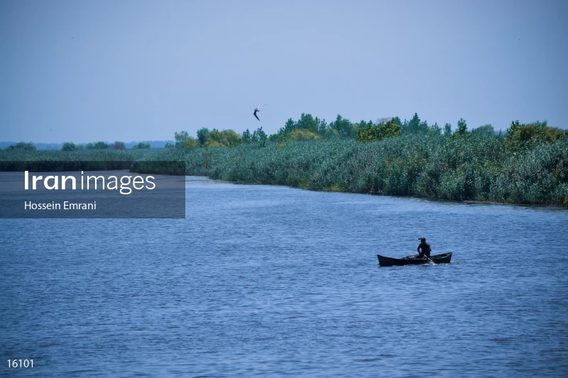 Anzali Lagoon