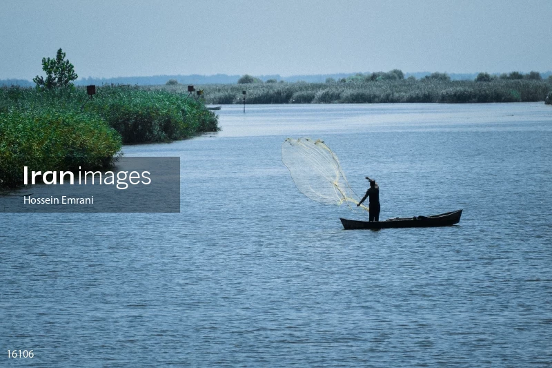 Anzali Lagoon