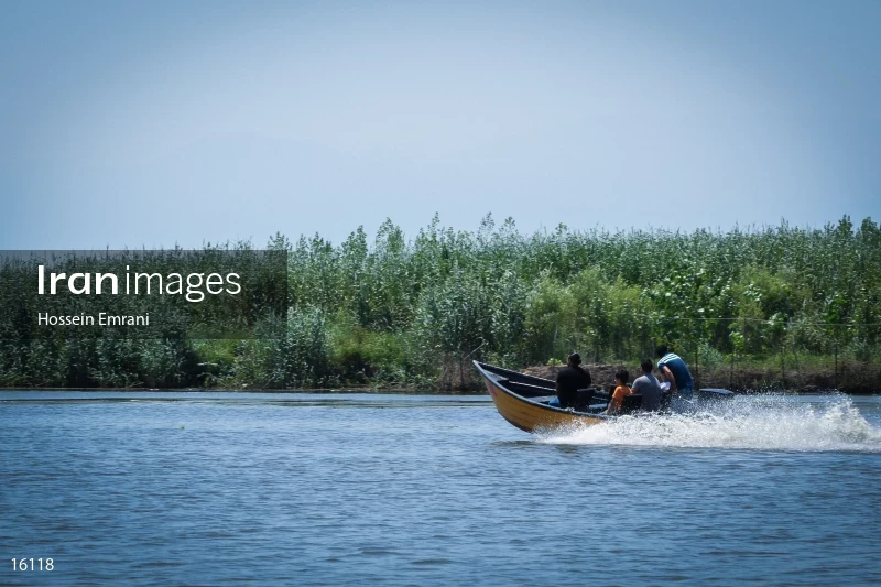 Anzali Lagoon