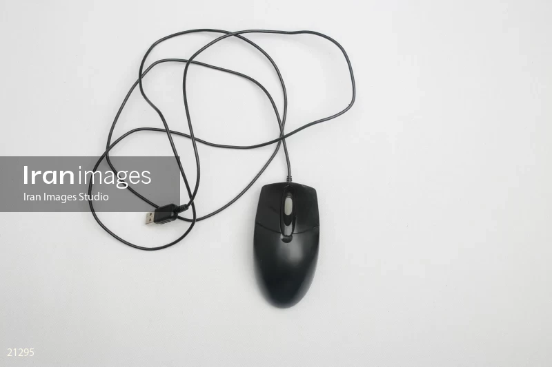 Mouse