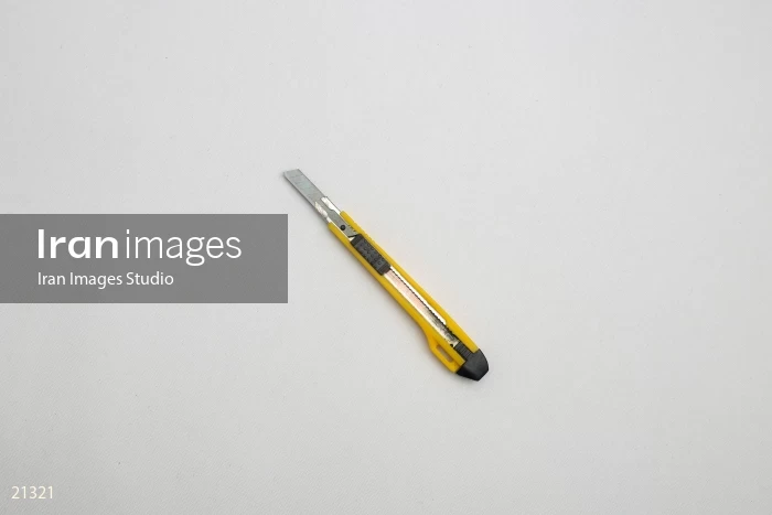 Cutter Blade