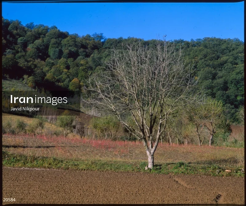 Khan Bebin Village