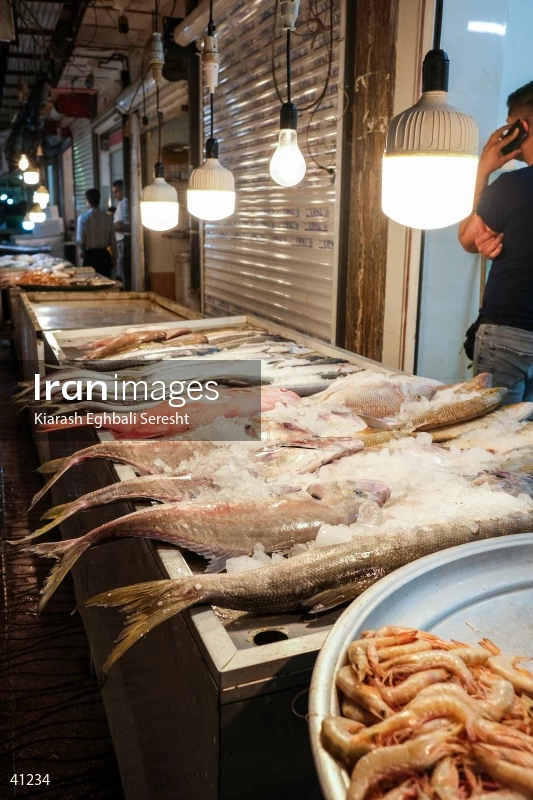 Bushehr's Market